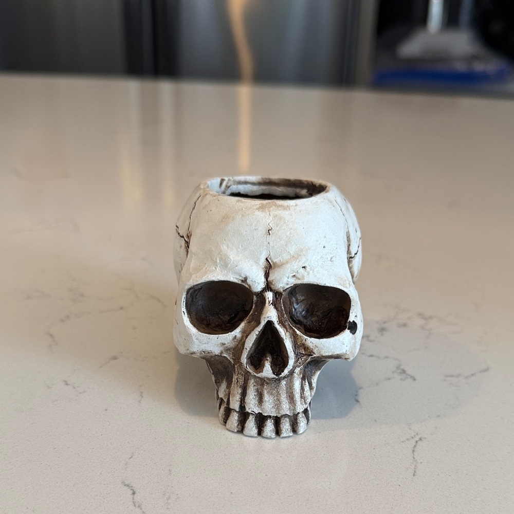 Mini Skull Shaped Planter / Home Decor